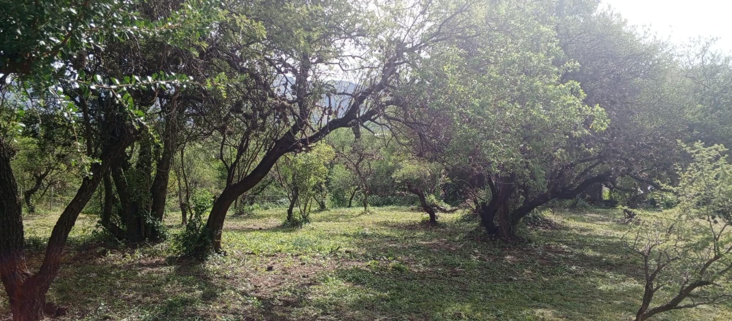 Terreno en Venta, FOT 40