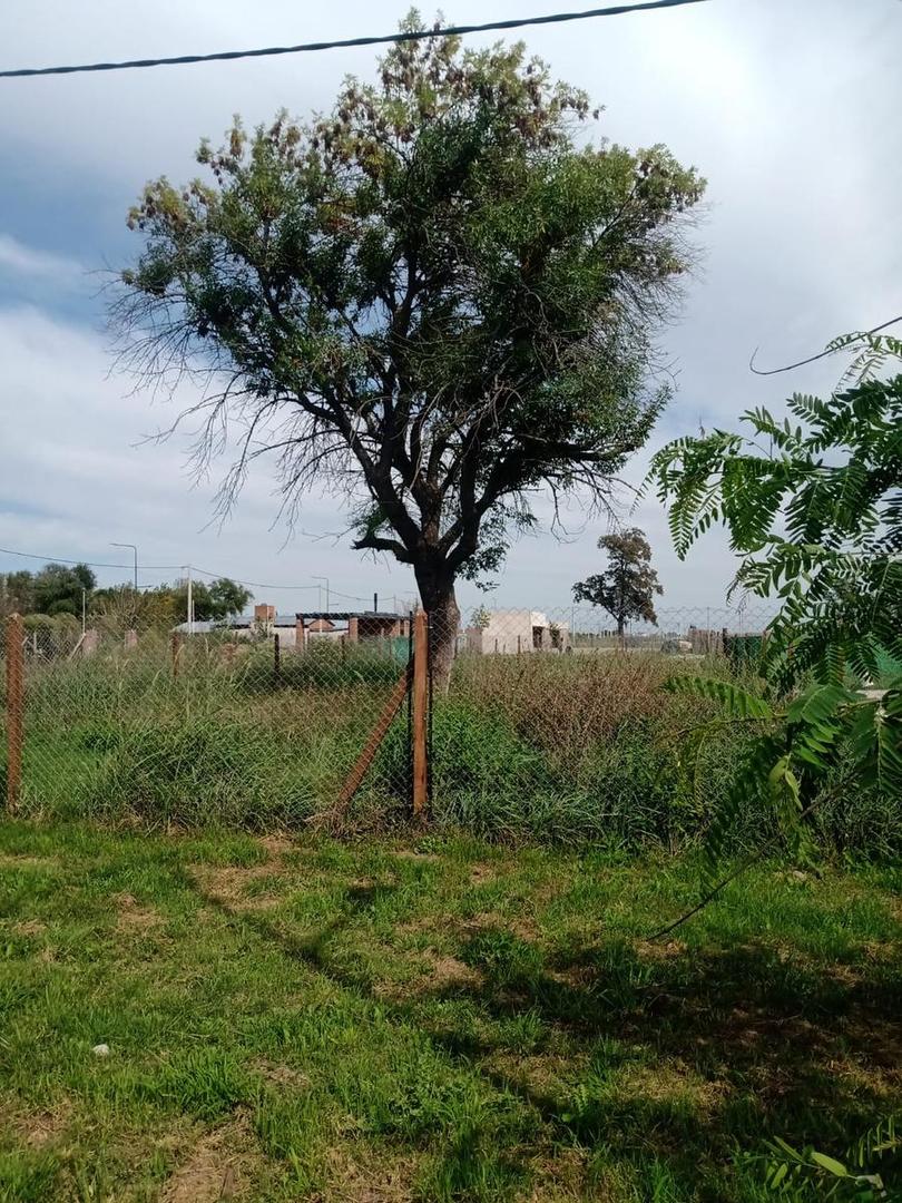 Vende Lote - Barrio Las Tipas - Alvear - Ruta 18