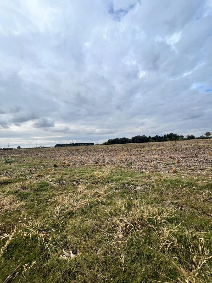 CAMPO 5 HAS EN VENTA EN PEREZ