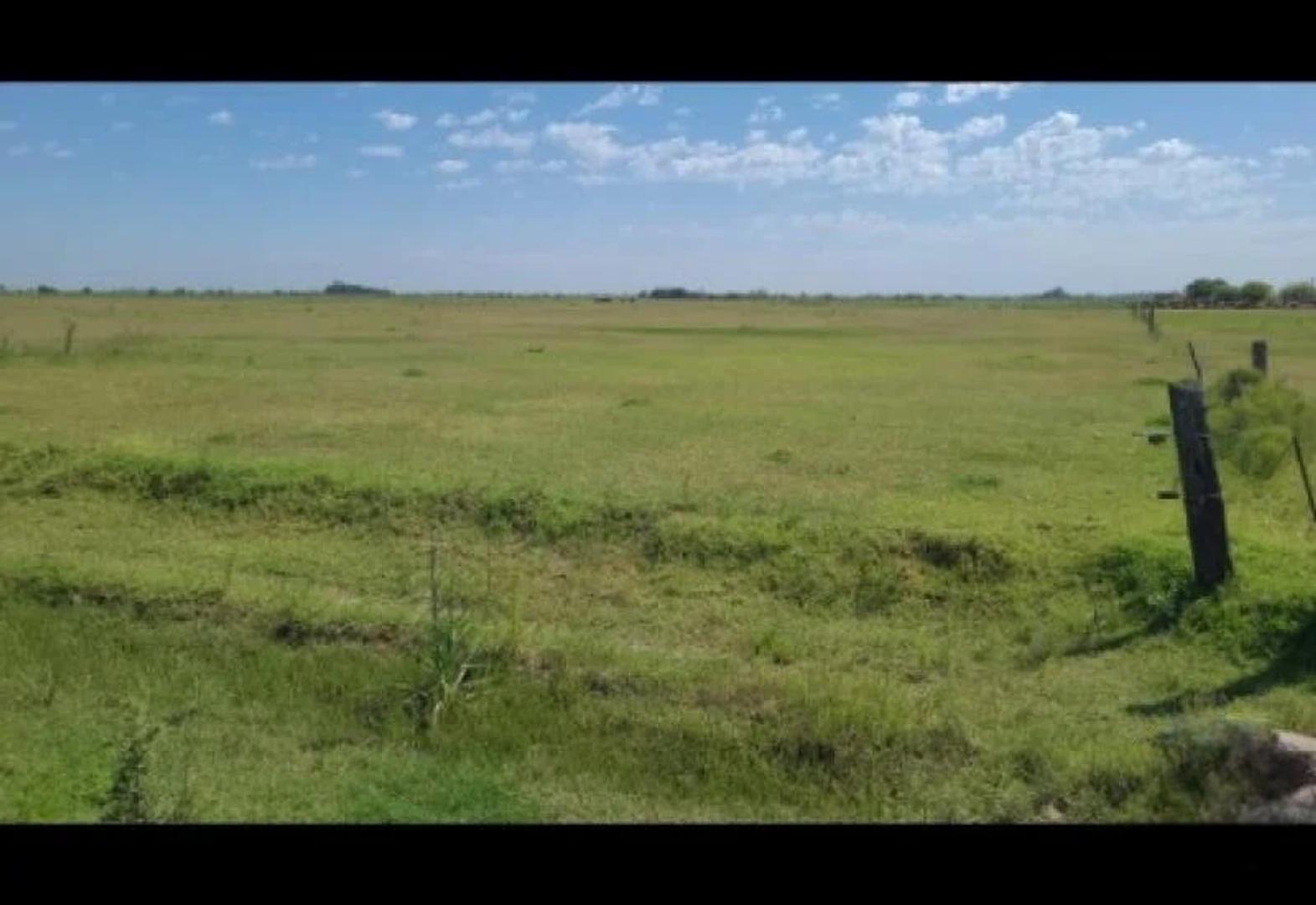 Fighiera, campo de 3,3 hectareas, oportunidad