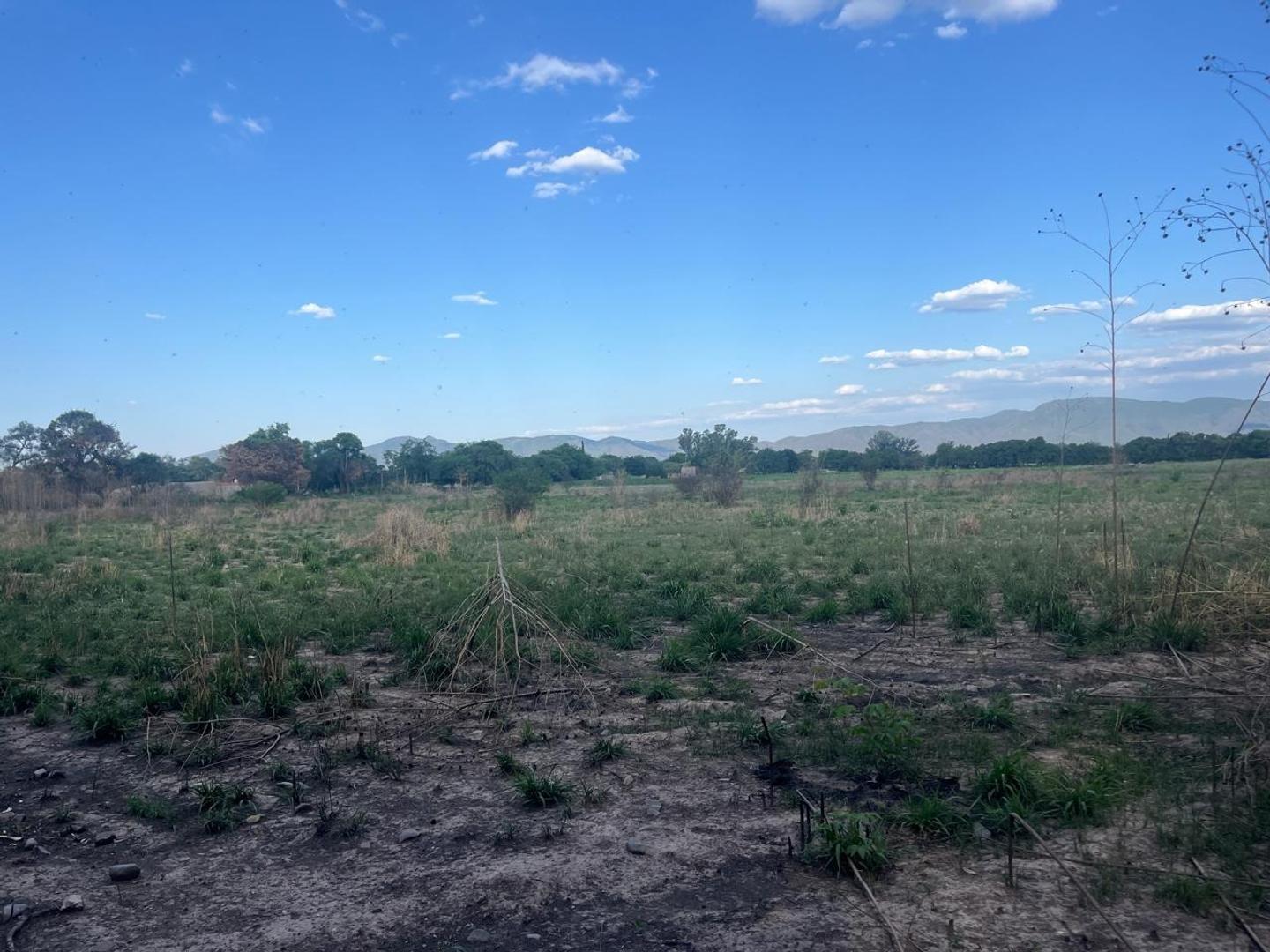 Terreno en Venta de 30000,0 m2