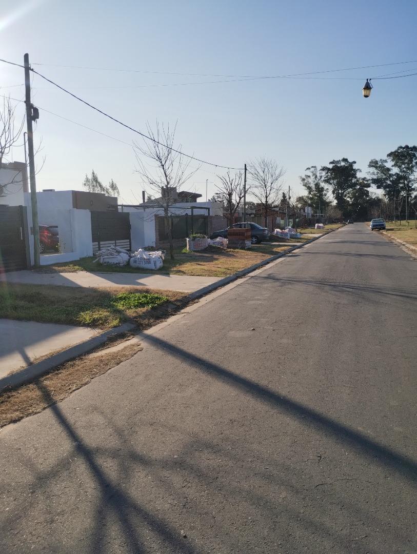 Silvestre Begnis 1000