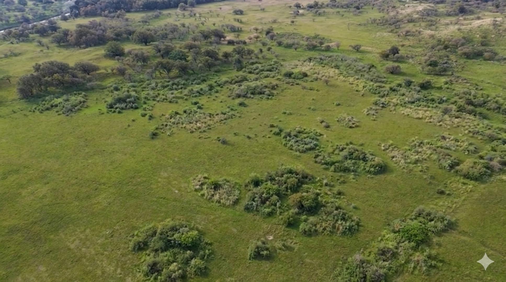 Venta Hectareas apto desarrollo En Canning-San Vicente