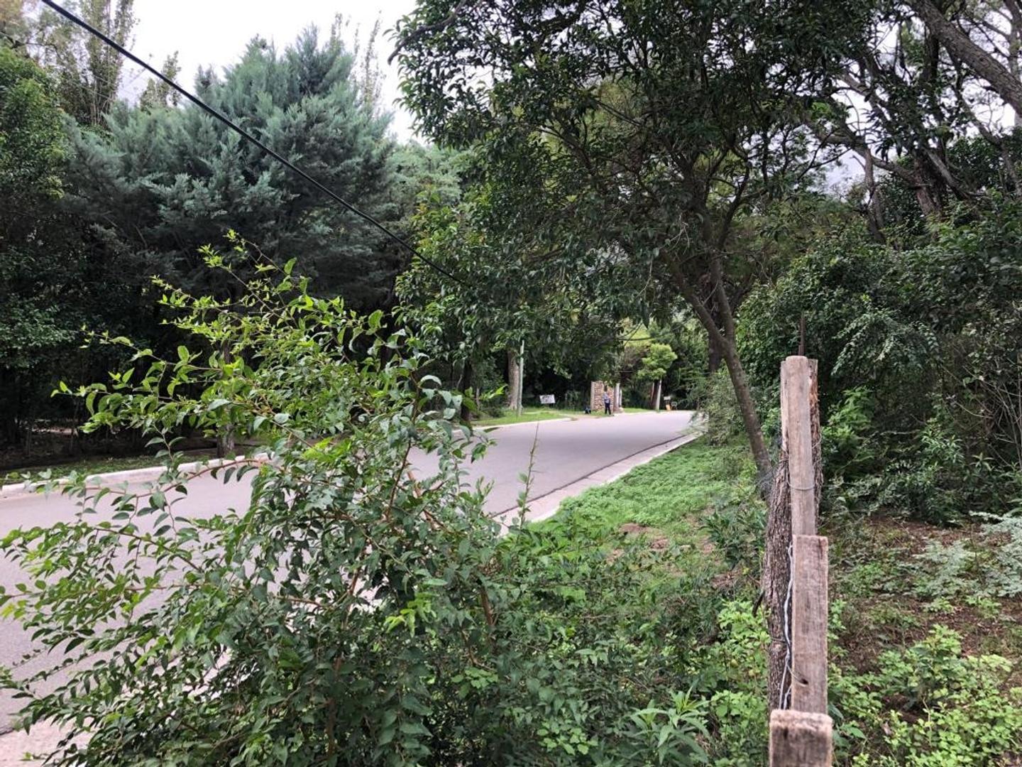 Francisco De La Mota