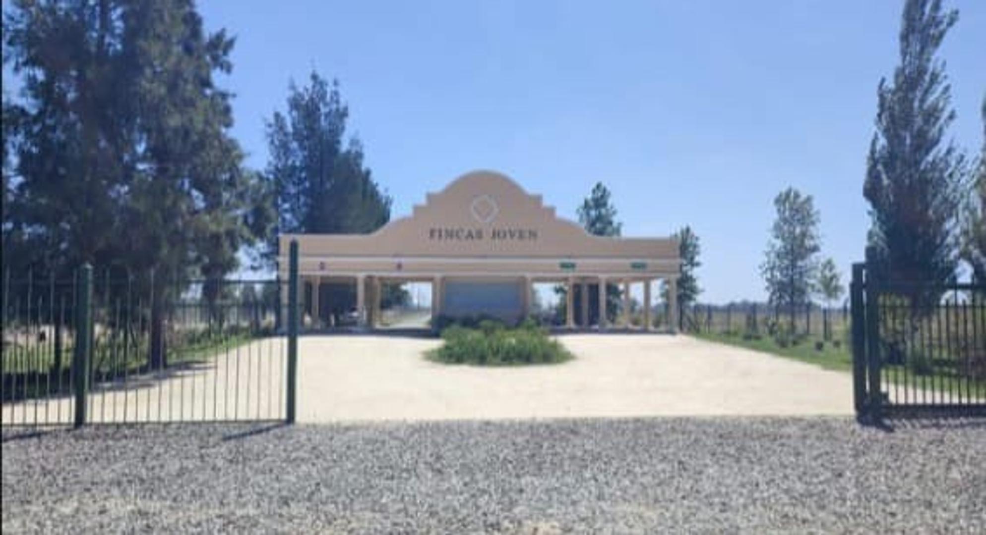 lote central en ficas joven san vicente