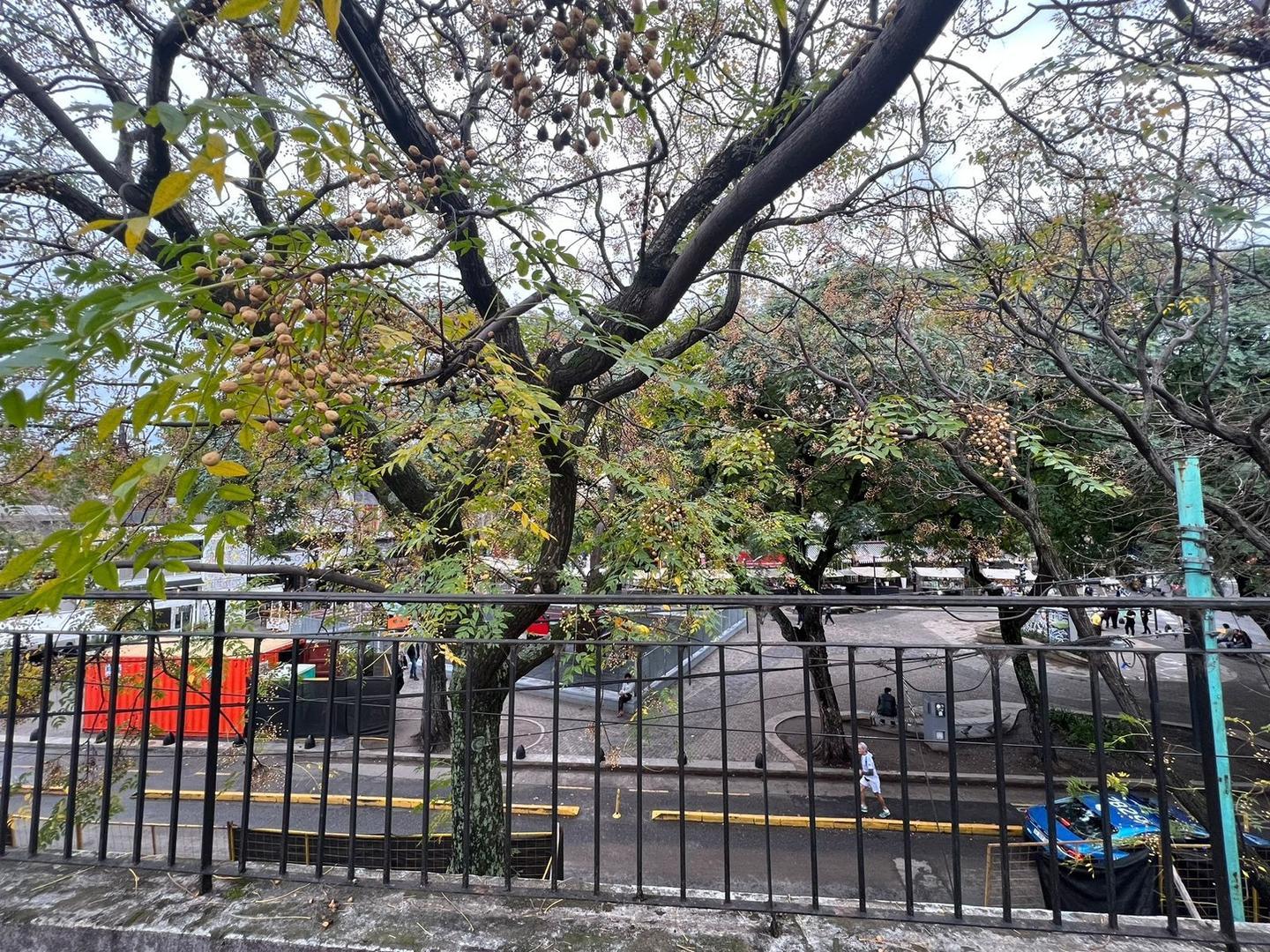 Casa en Alquiler en Palermo Soho, USD 4.500