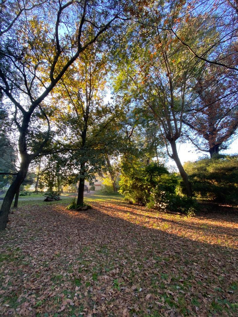 El Casco Country Club