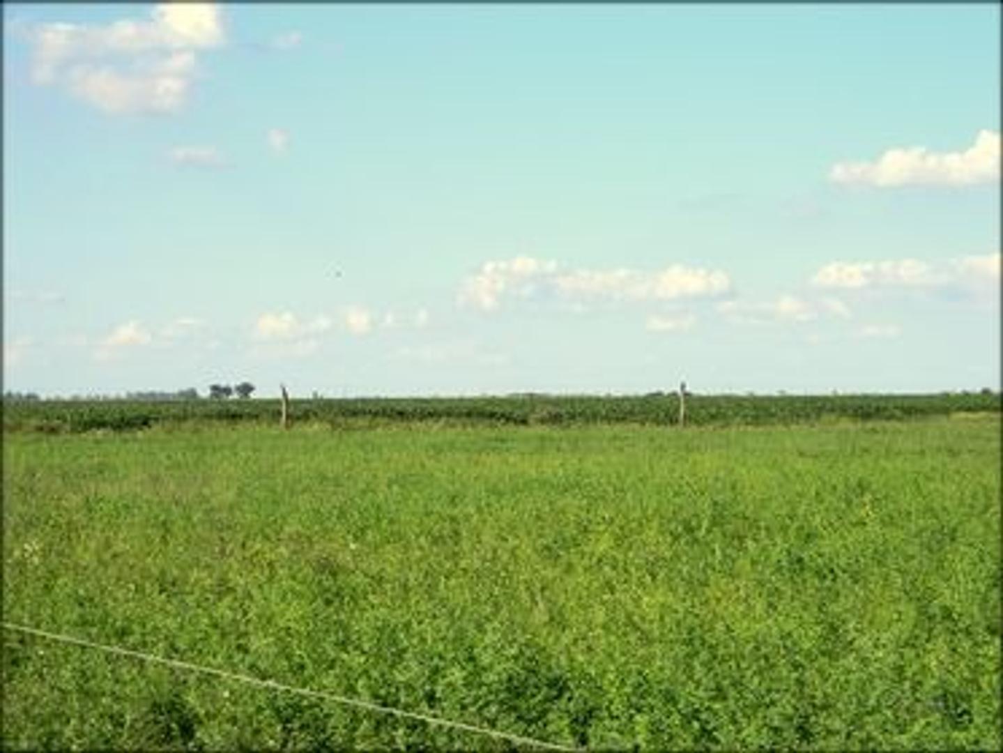 Venta 147 Hectareas.Zona El Fortin(Cba). Exp.Ganadera.