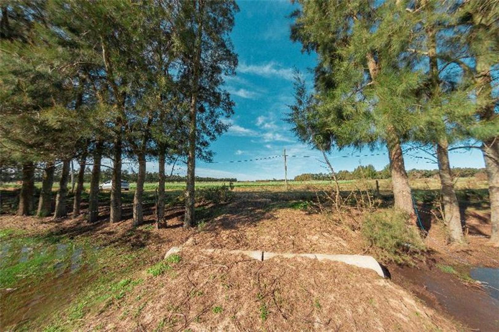 Campo en Venta Chacra