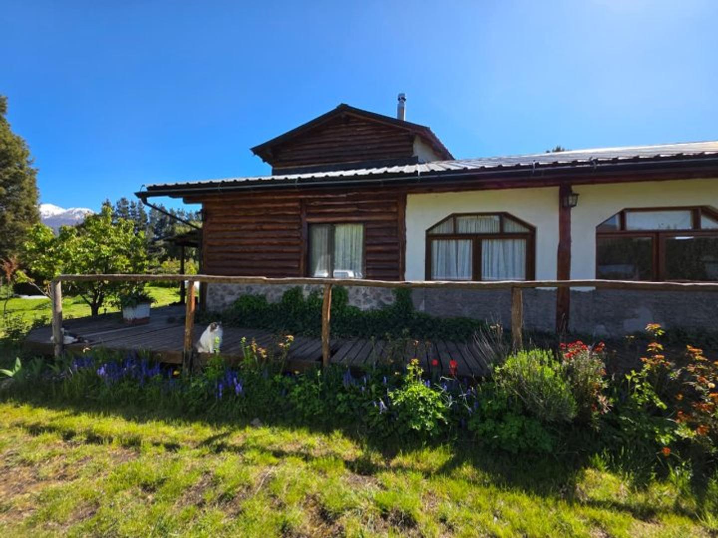 Fondo Comercio en Venta en Los Cipreses, USD 335.000