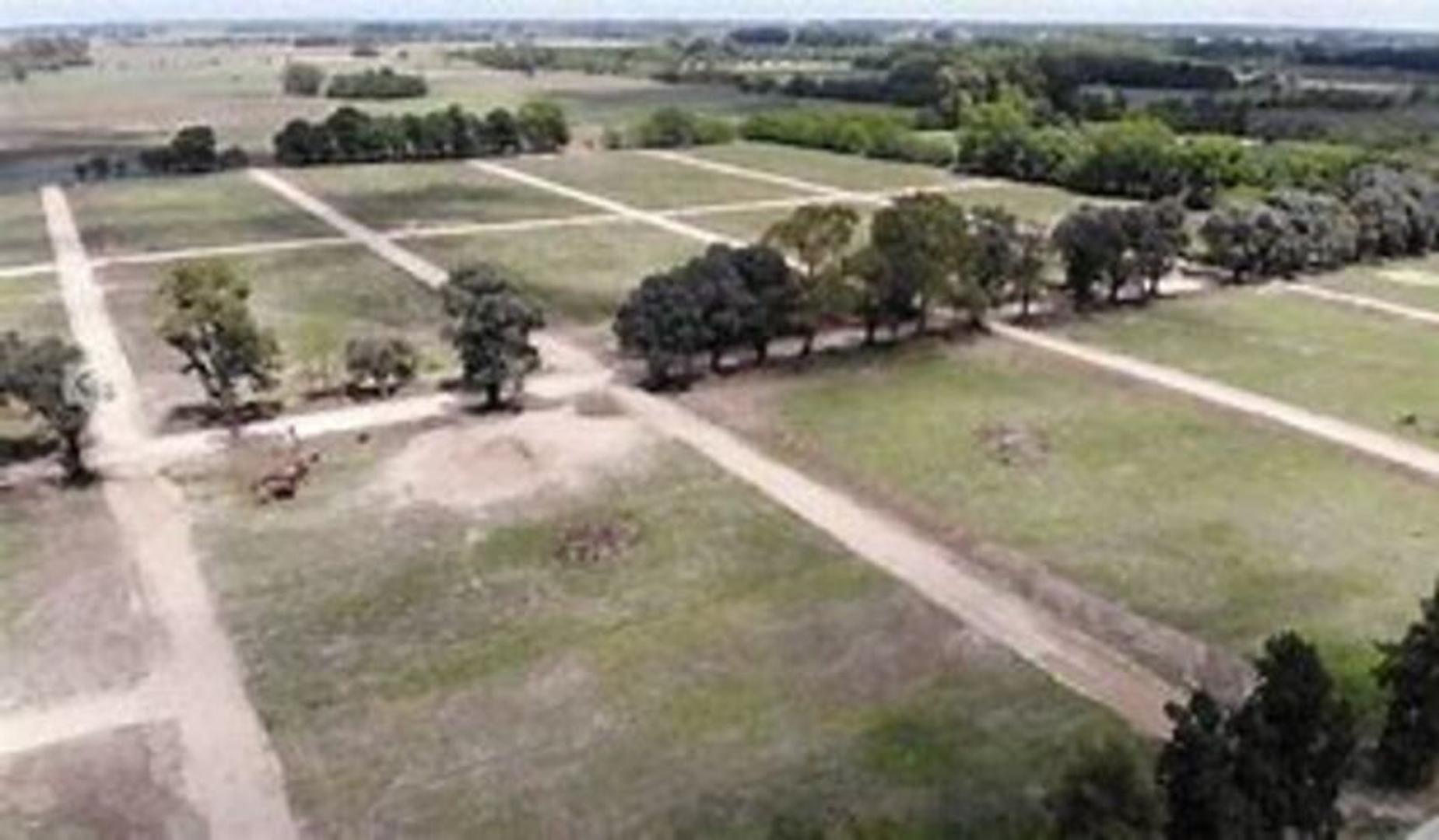 Dr Hector Campora Y Lemos