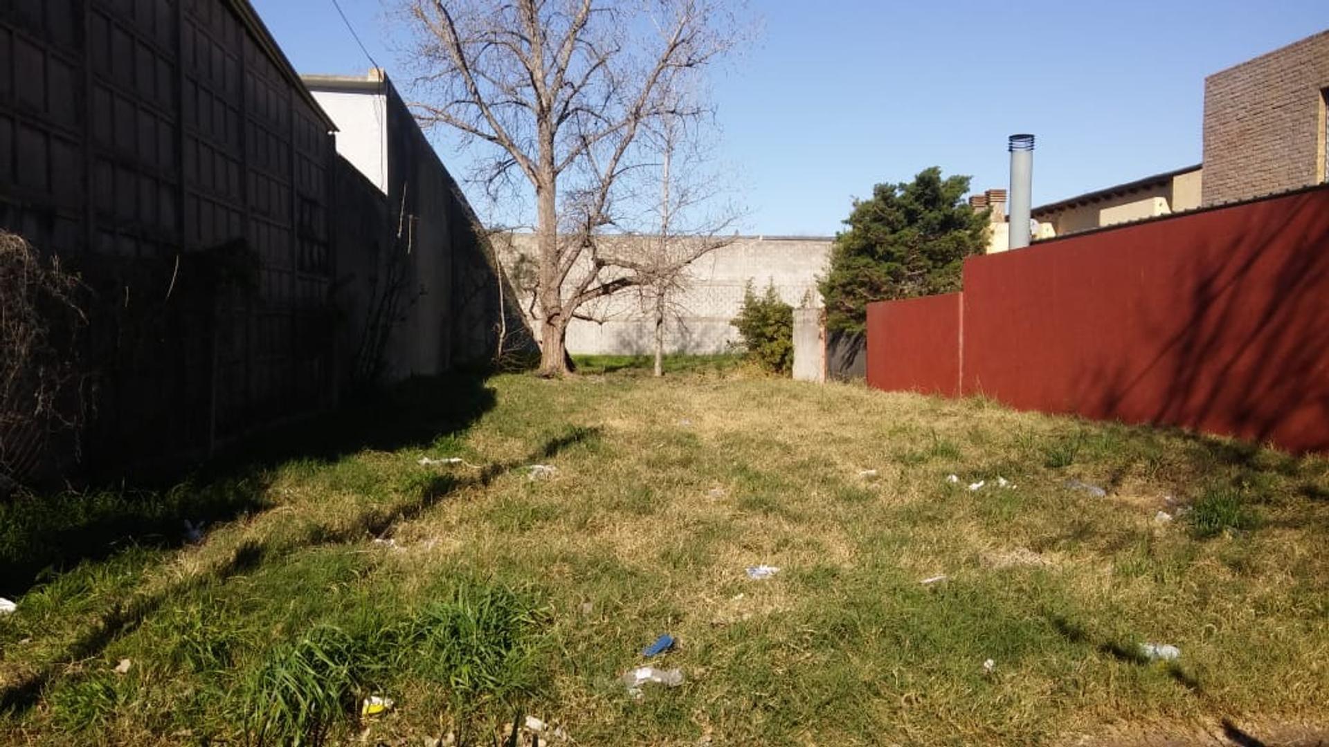 Consultar dirección