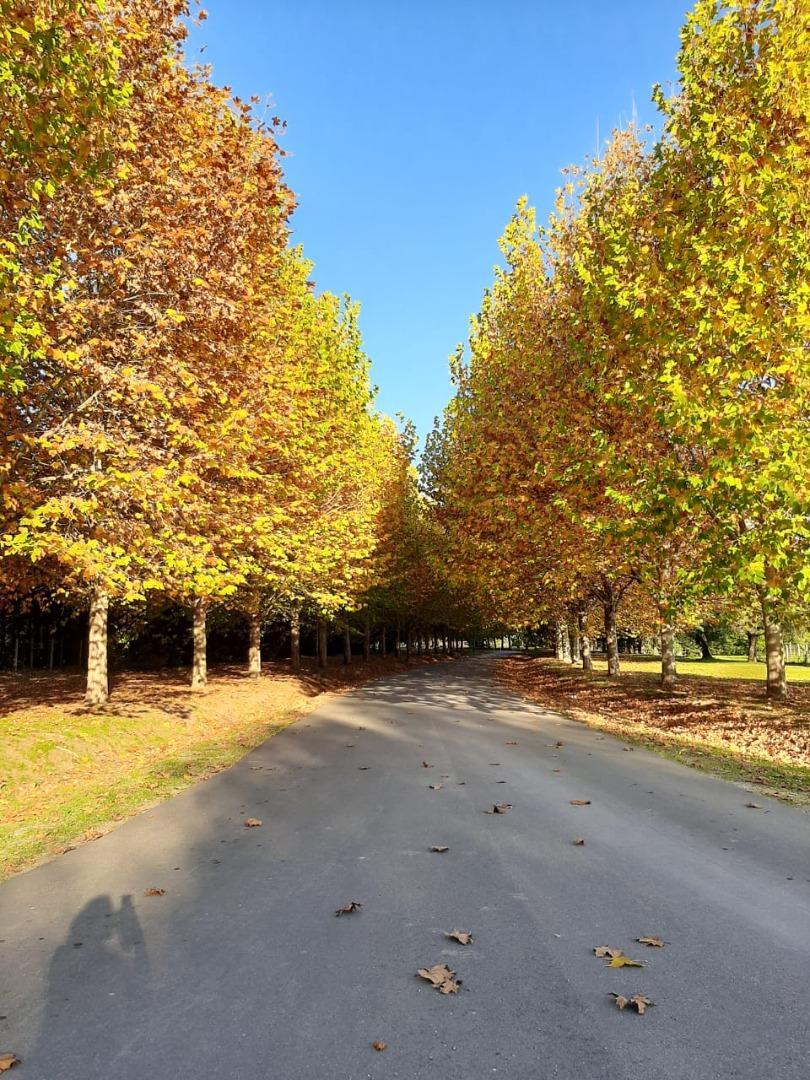 Terreno en Venta en El Nacional Club De Campo, USD 35.000