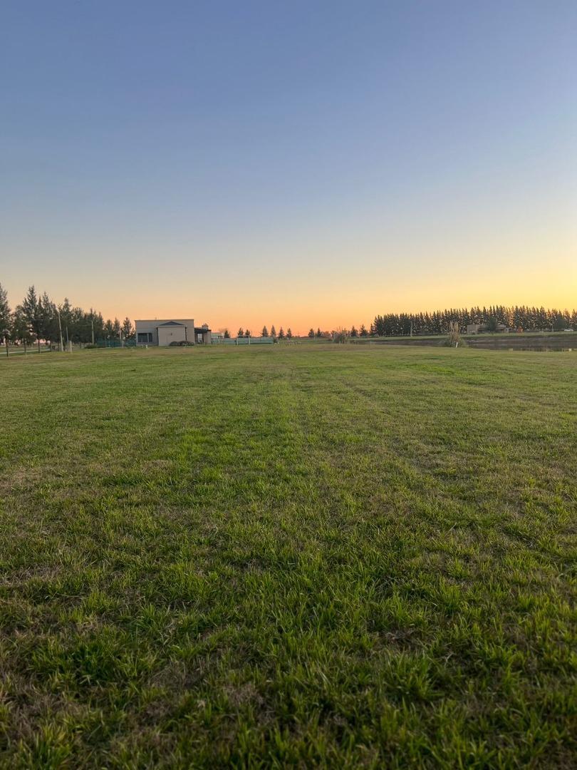 Terreno en Venta de 2334,0 m2