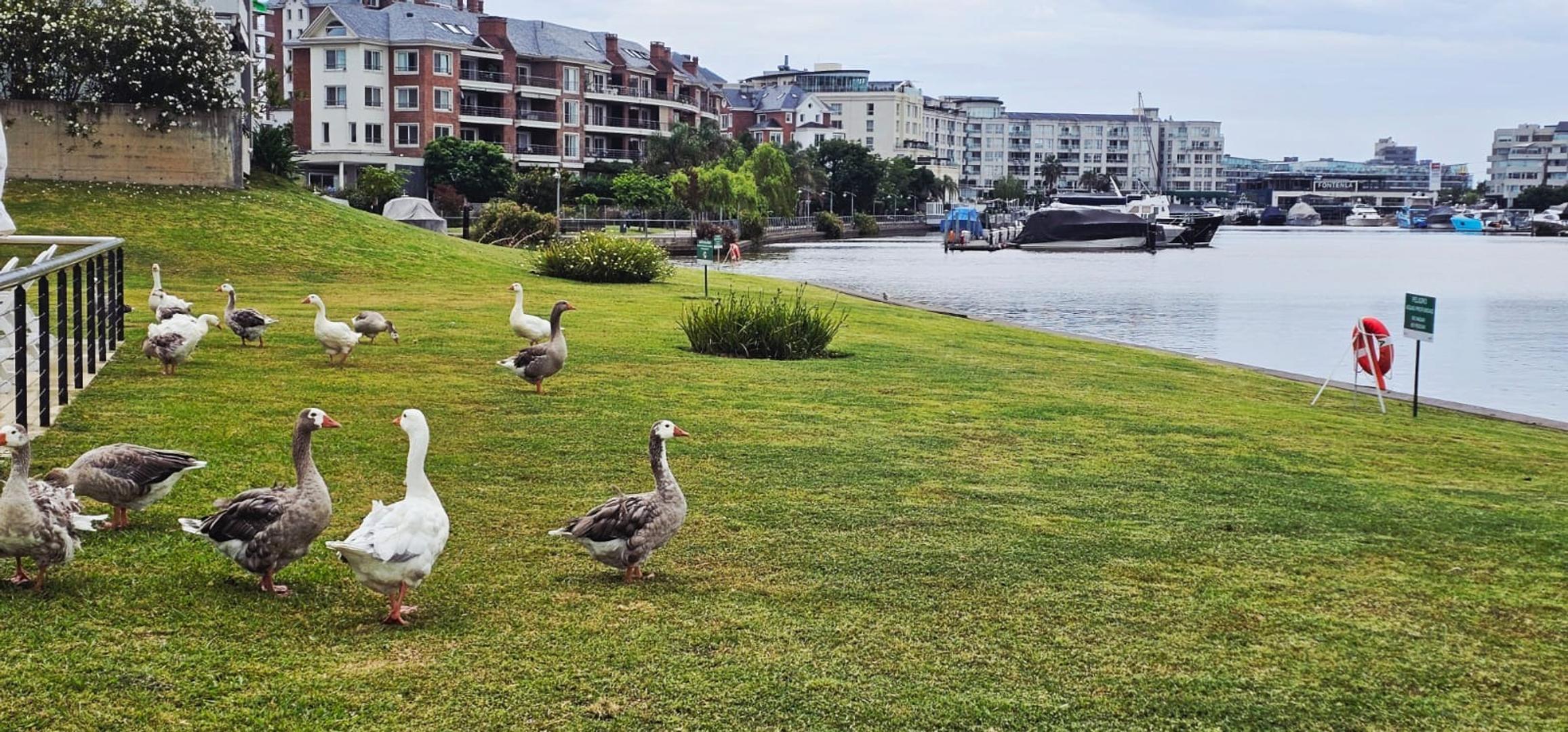 Departamento en venta en Islas del Canal Nordelta