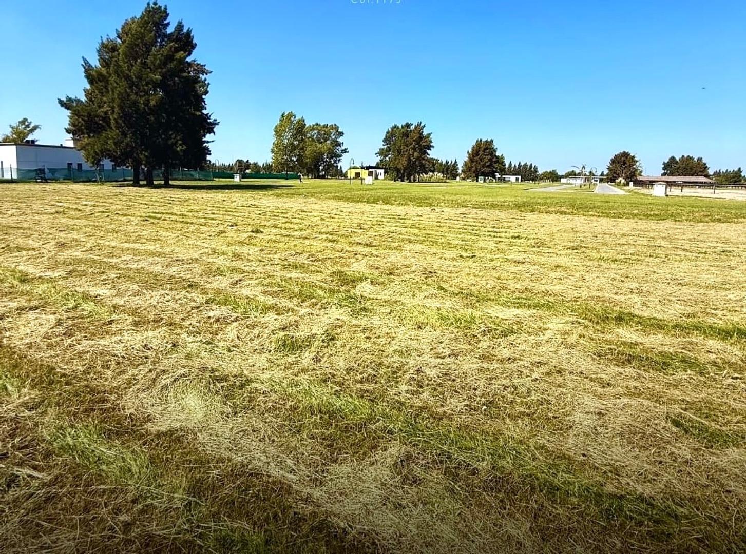 LOTE LA VICTORIA AREA 60 - Acepta Financiación