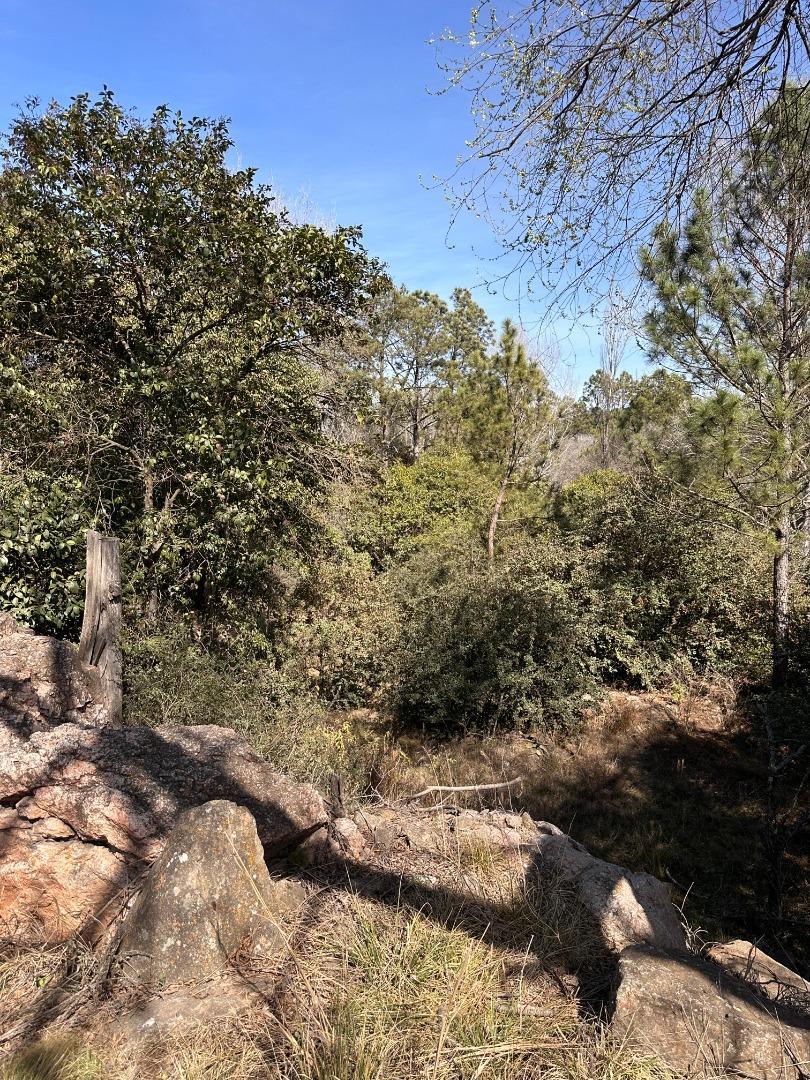 Terreno en Venta de 800,0 m2