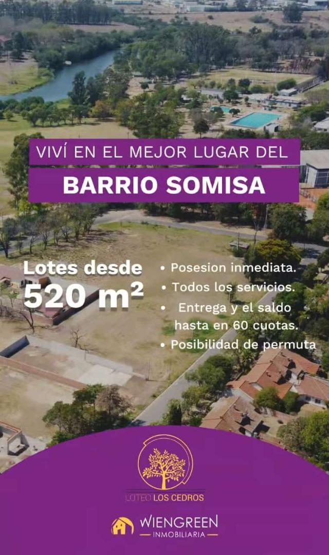 Los Cedros Y 17 Este