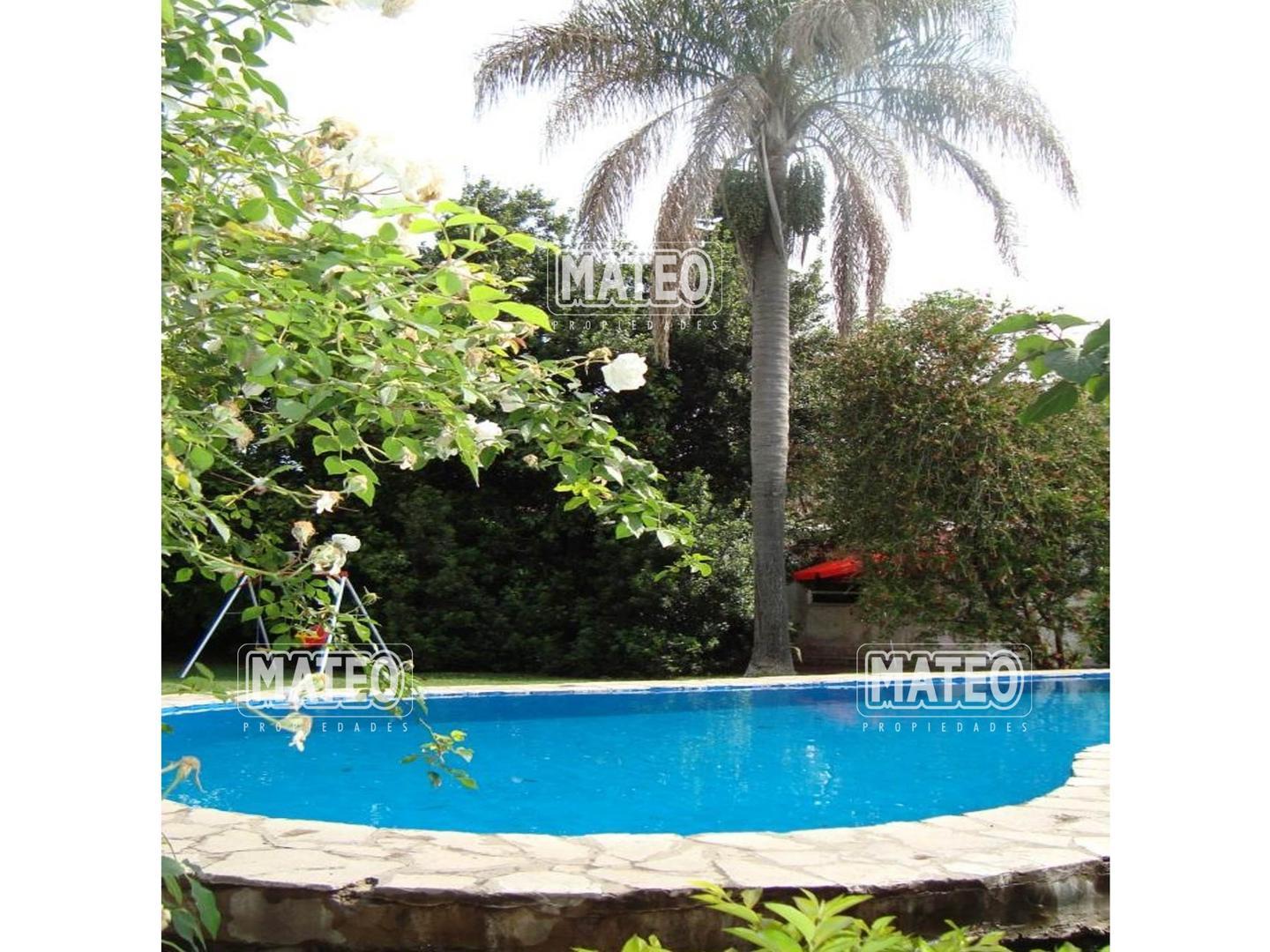 Coleta Palacios 1000