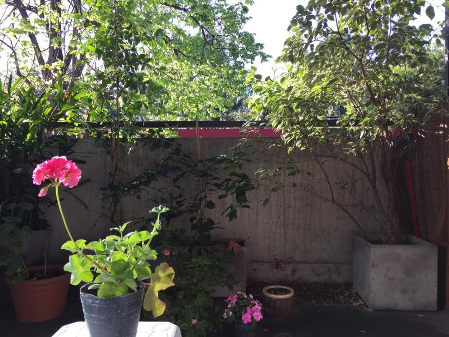 Departamento en Alquiler 12 años