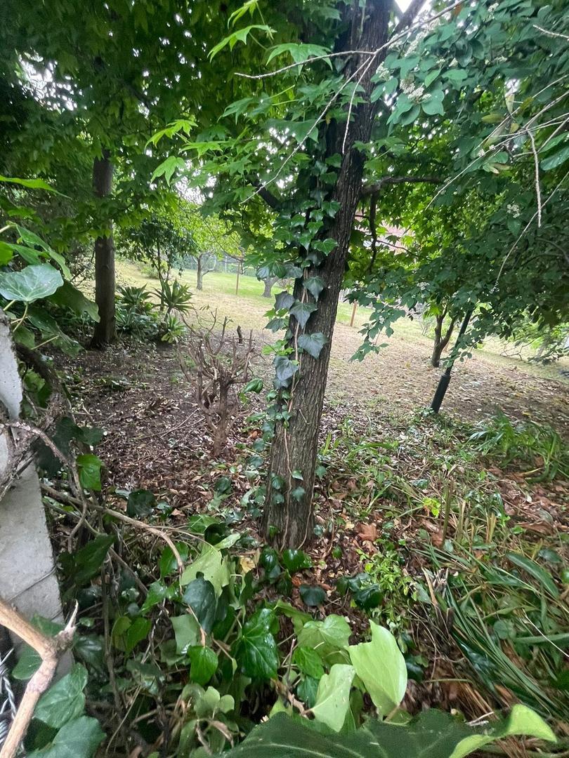 Terreno en Venta de 416,0 m2