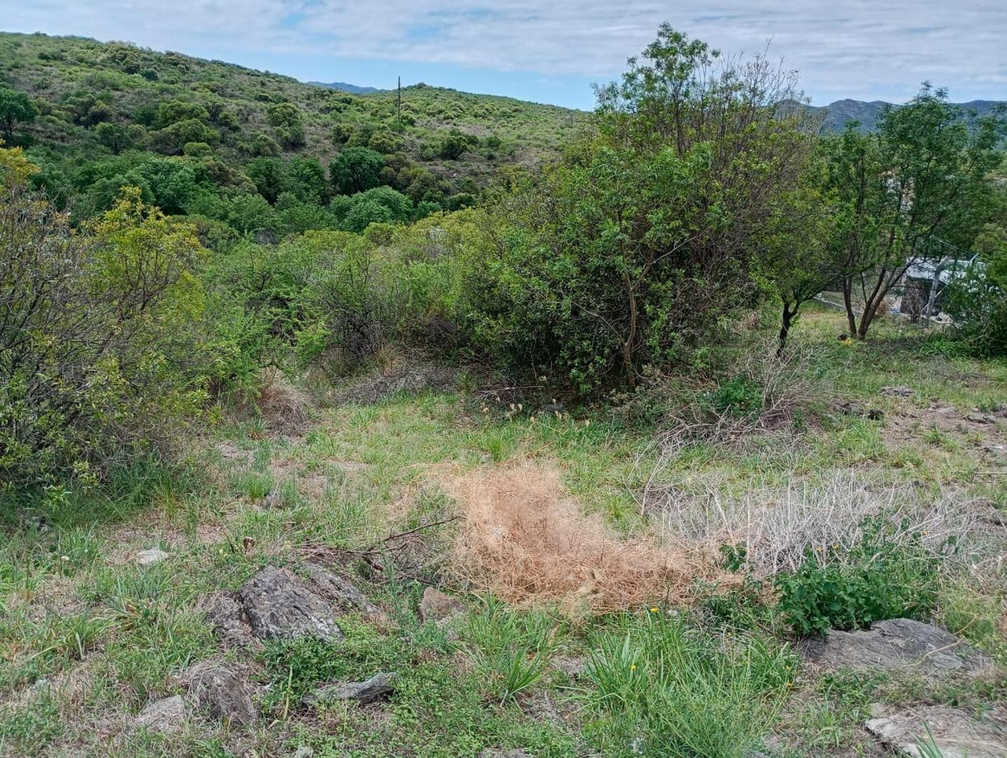 Terreno en Venta en Tierralta Comarca Serrana, USD 41.500