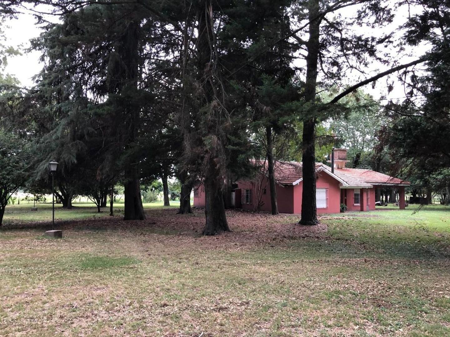 Venta Campo en Exaltación de la Cruz