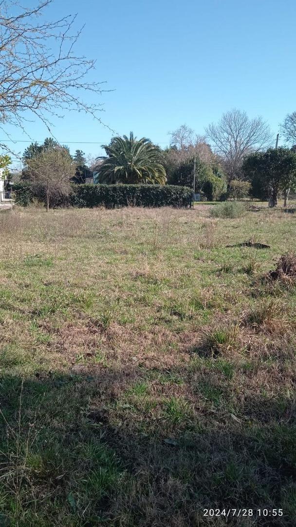 Terreno en San Javier