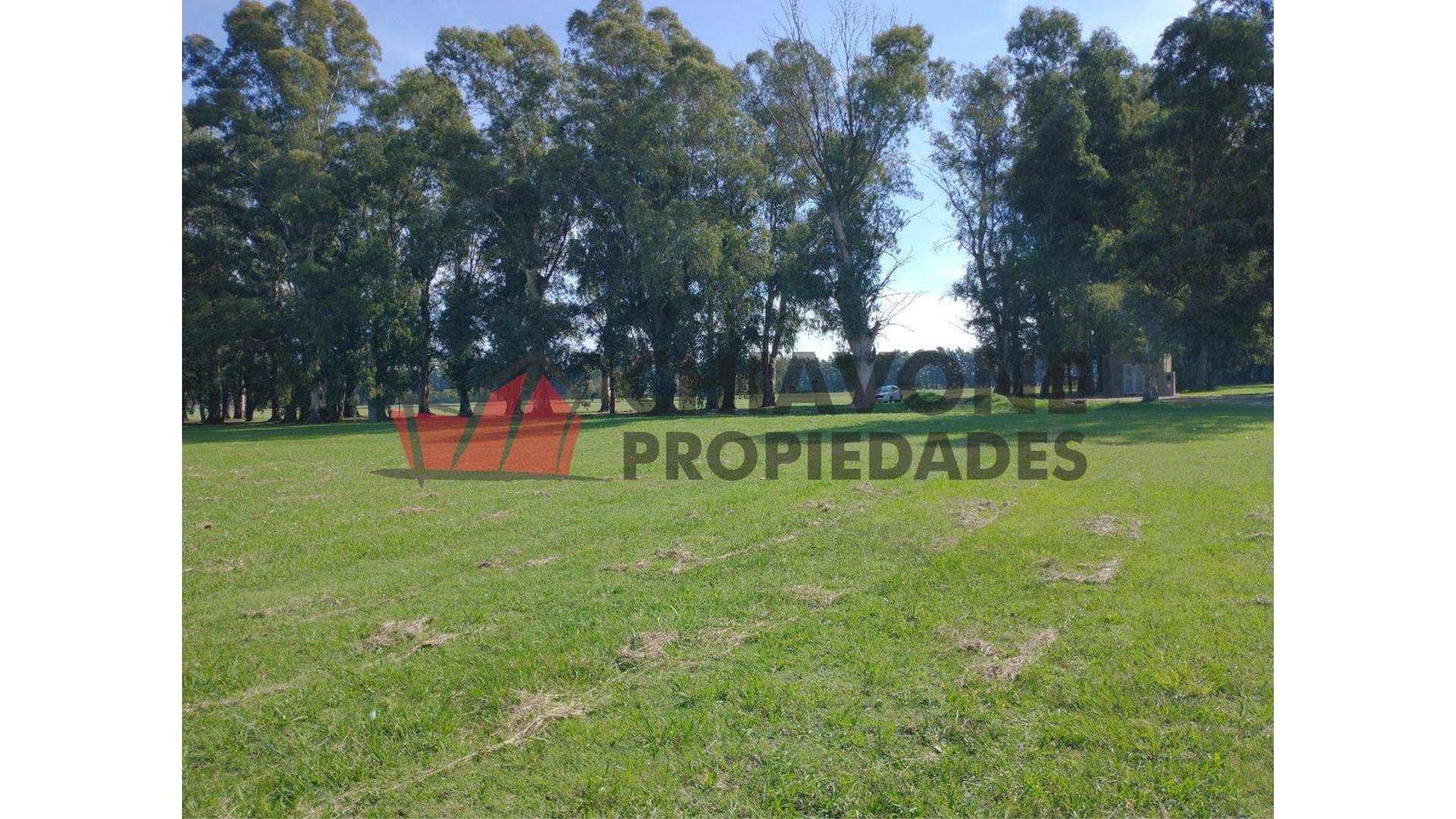 Lote En Club De Campo "la Pintada", Rp N°40 Km 6300