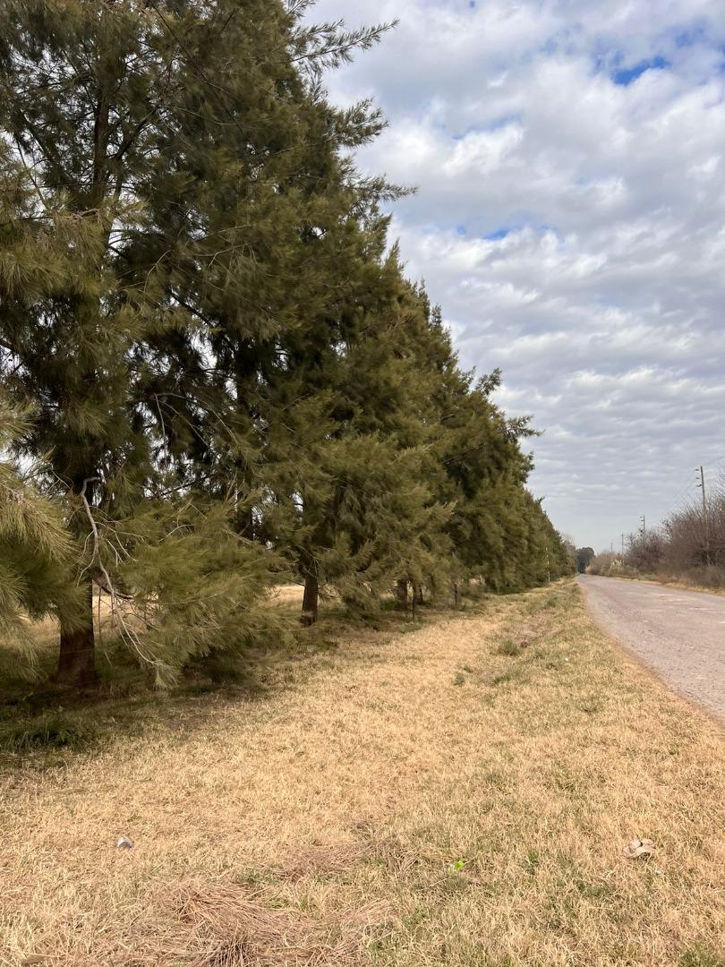 Terreno en Venta de 1450,0 m2