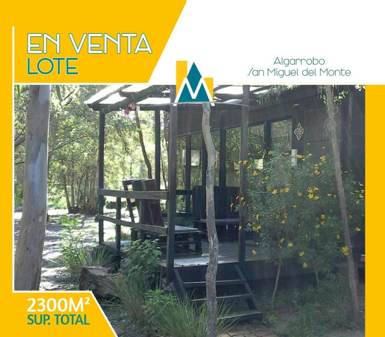 Gran Lote - Importante Forestación