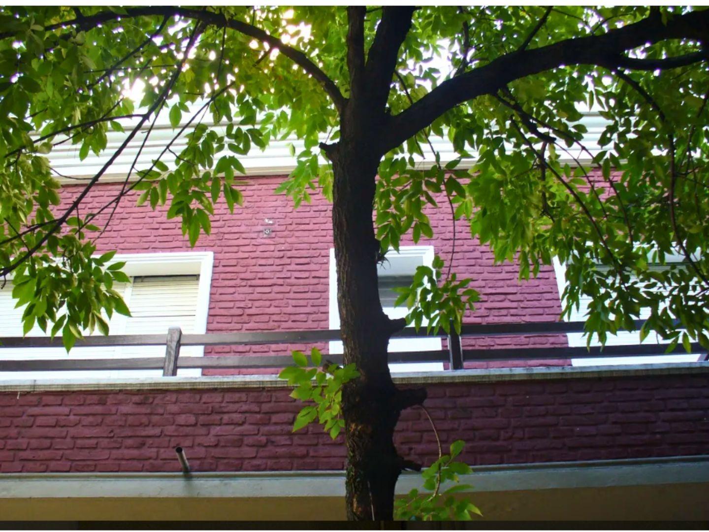 Oficina en Alquiler en La Plata, $ 900.000