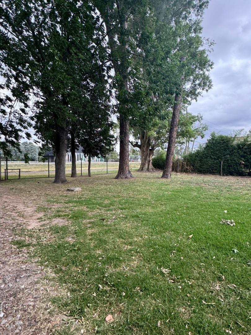 Colectora Ruta 2 Calle 238 Y 496