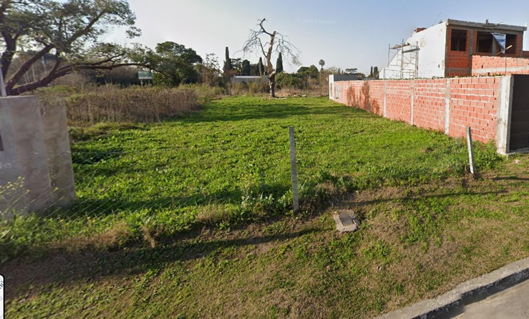 Remedios De Escalada 3534