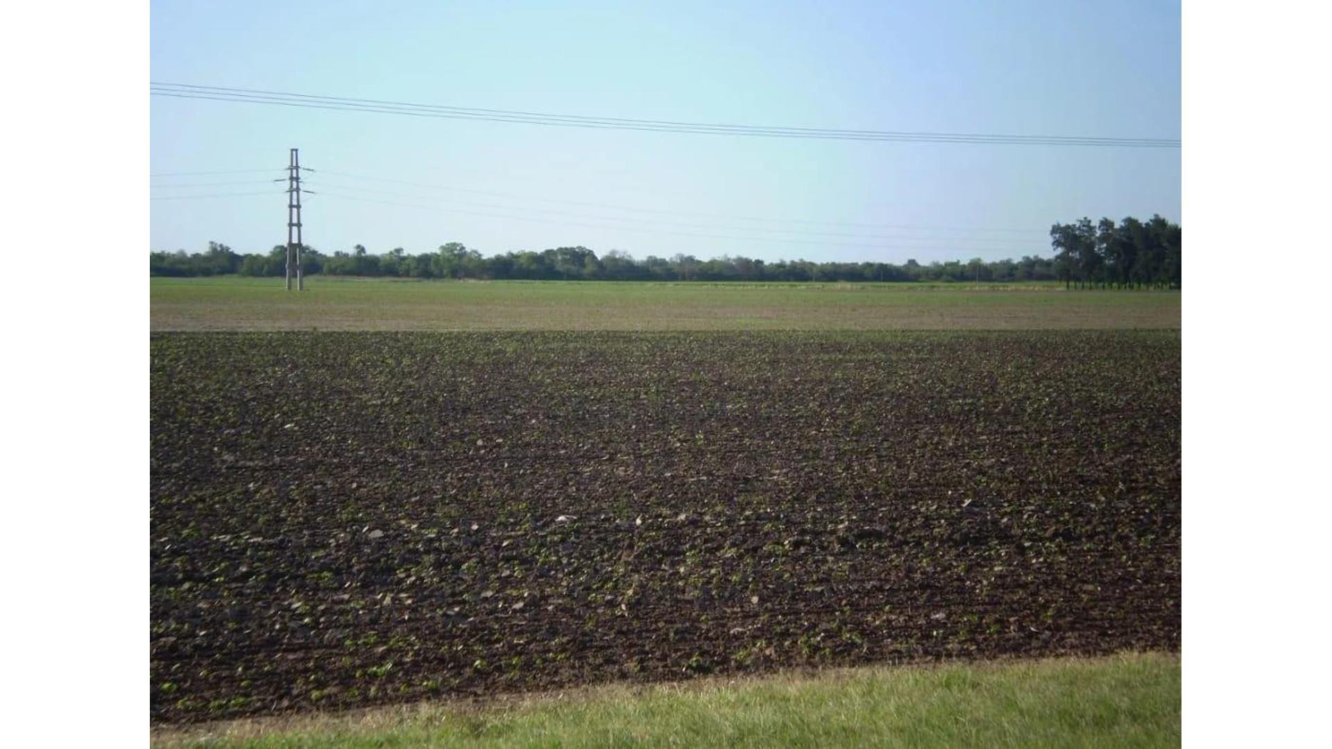 Campo 75Ha. en Venta, Roque Saenz Peña, Chaco, Cod.3005