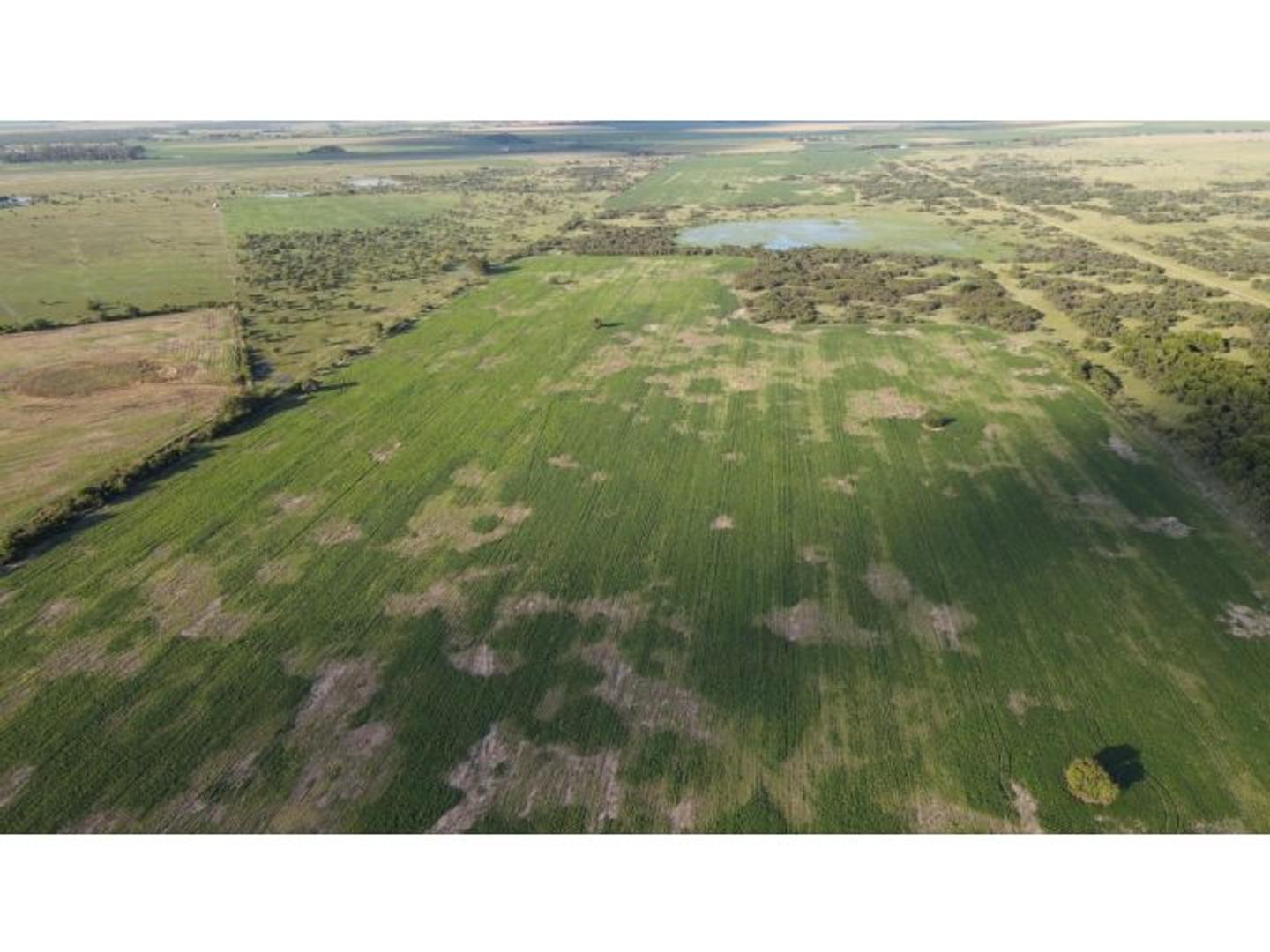 Campo mixto de 198 has, sexto Gualeguay