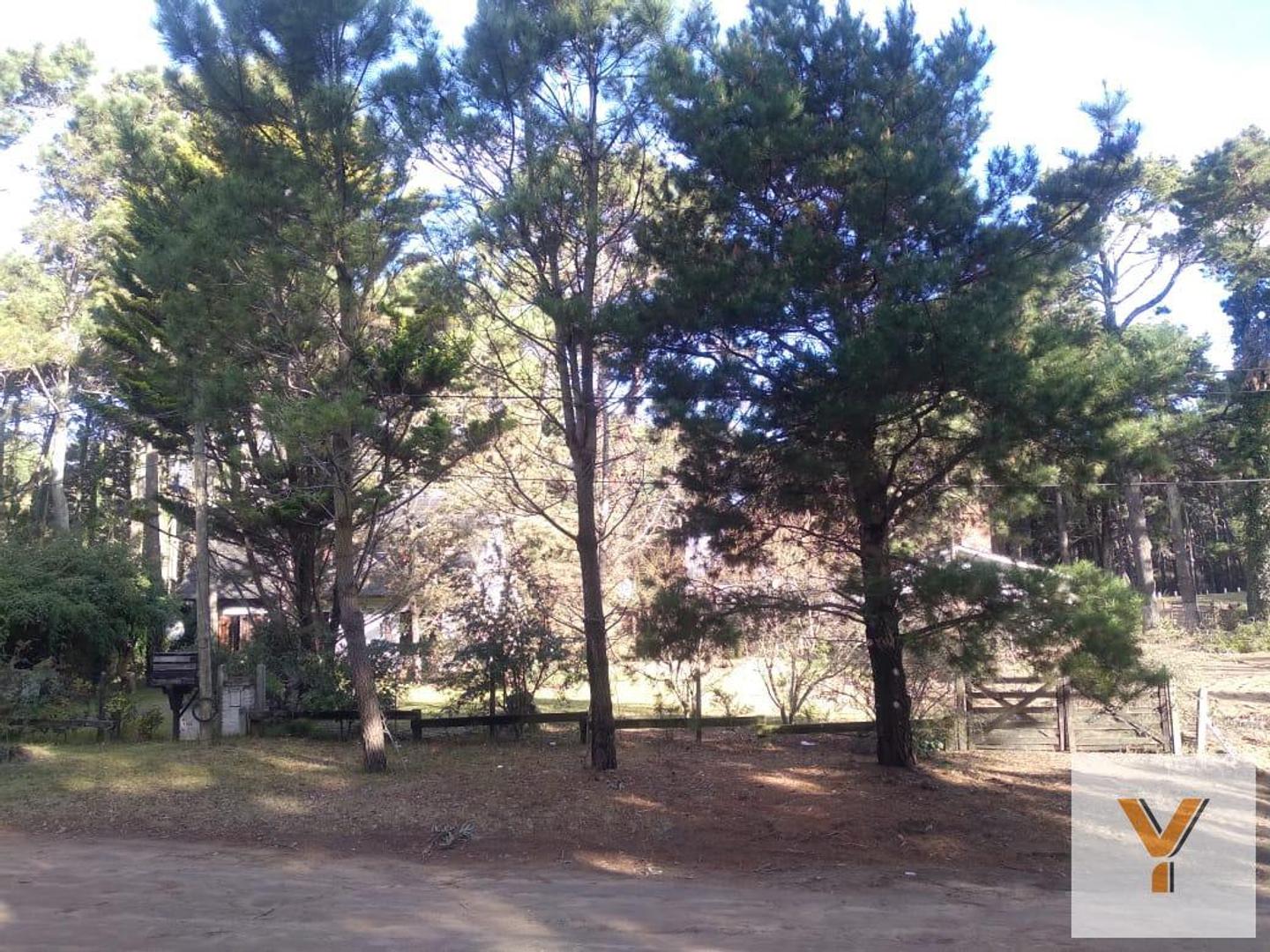 Terreno en Venta 15  mts Frente