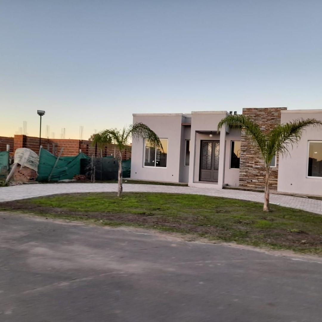 Carola Lorenzini 4600