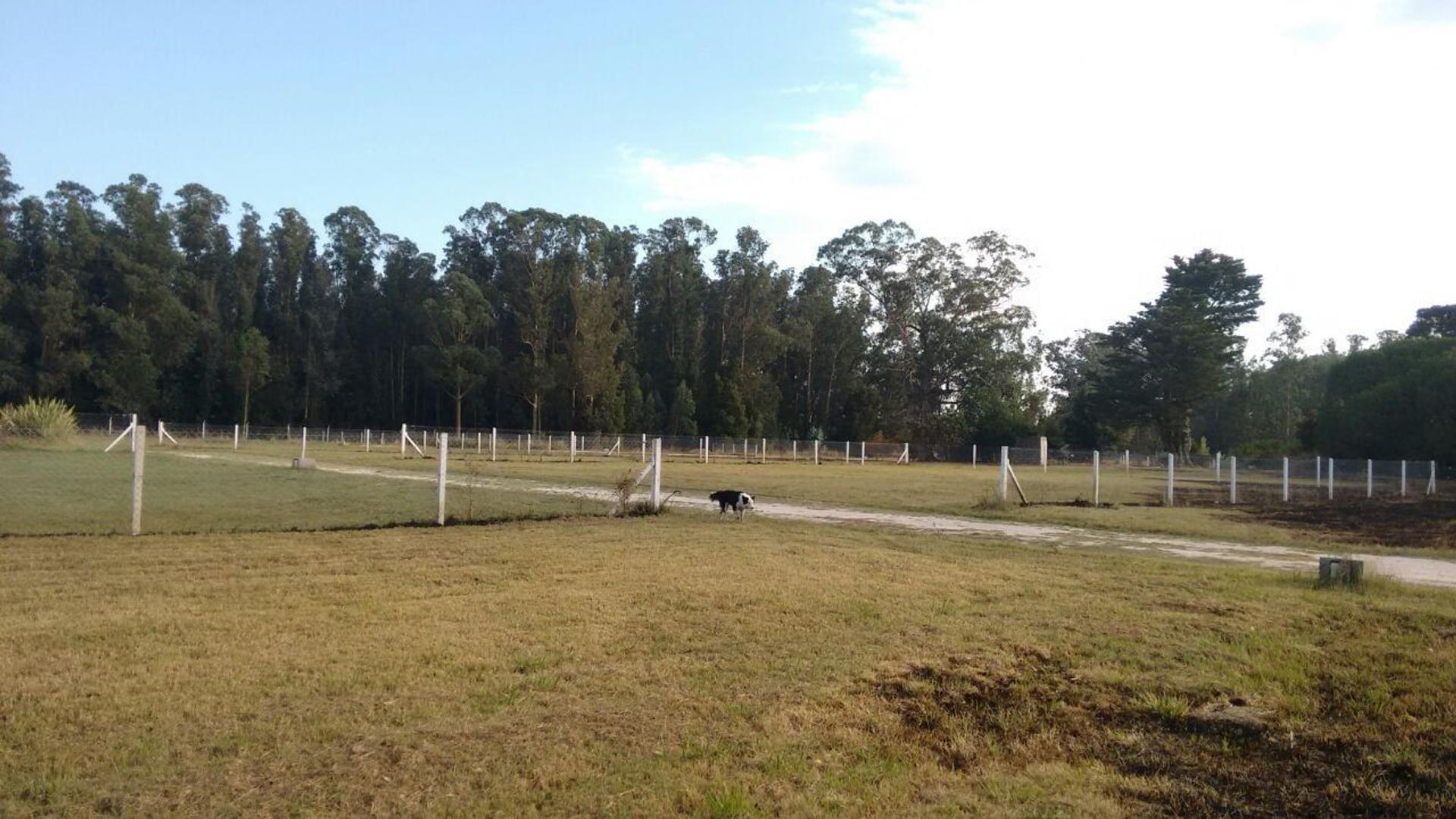 Terreno en venta Barrio Esmeralda