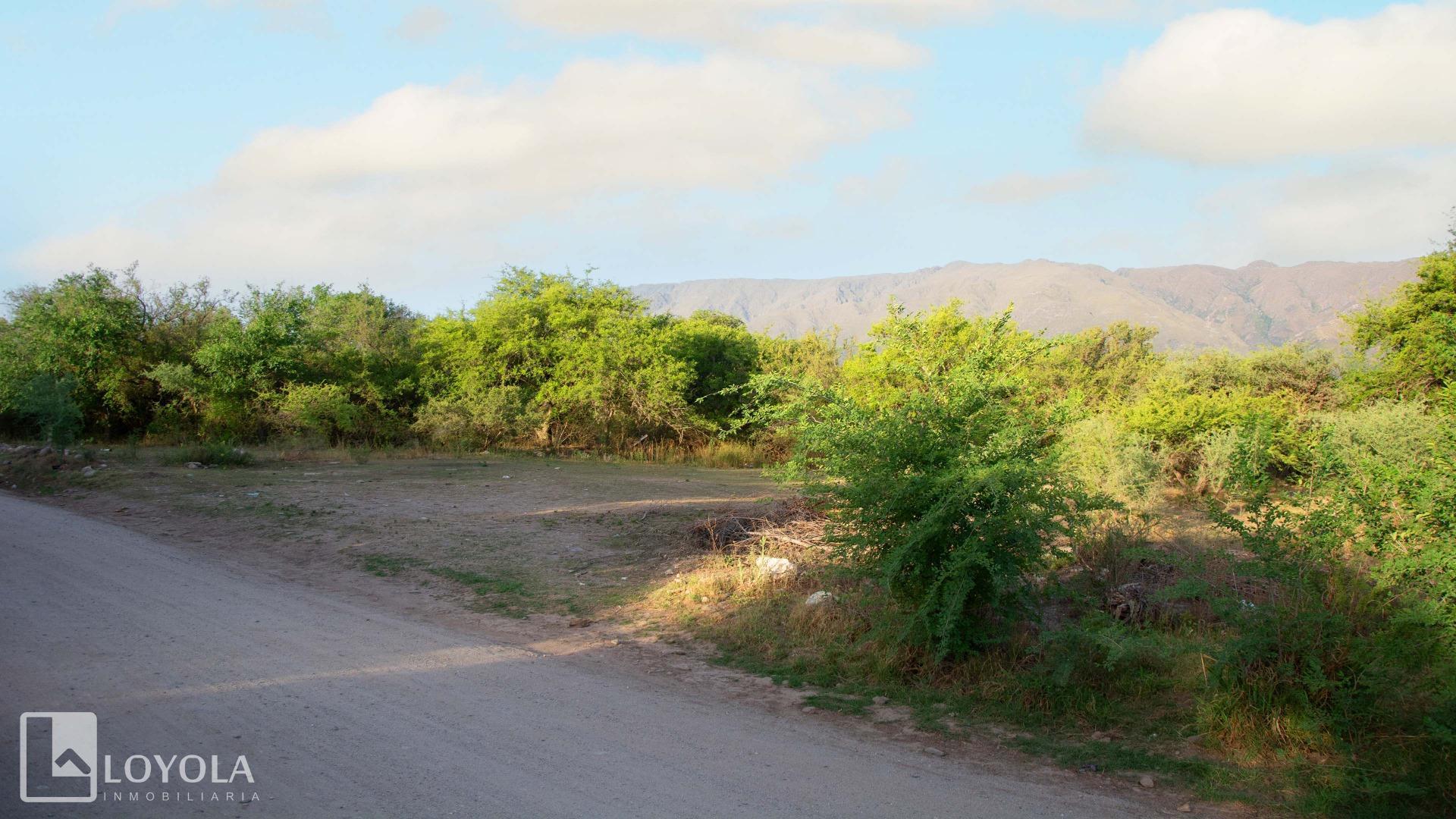 Terreno en Venta en Centro, USD 35.000