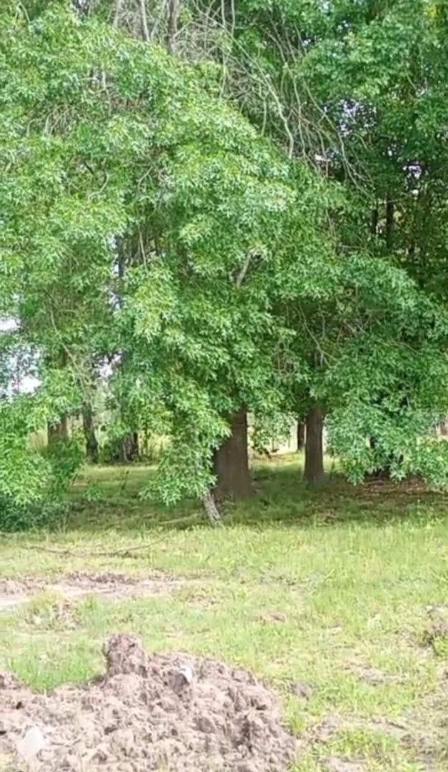 Excelente Lote -barrio Almahue-pte Derqui 2500