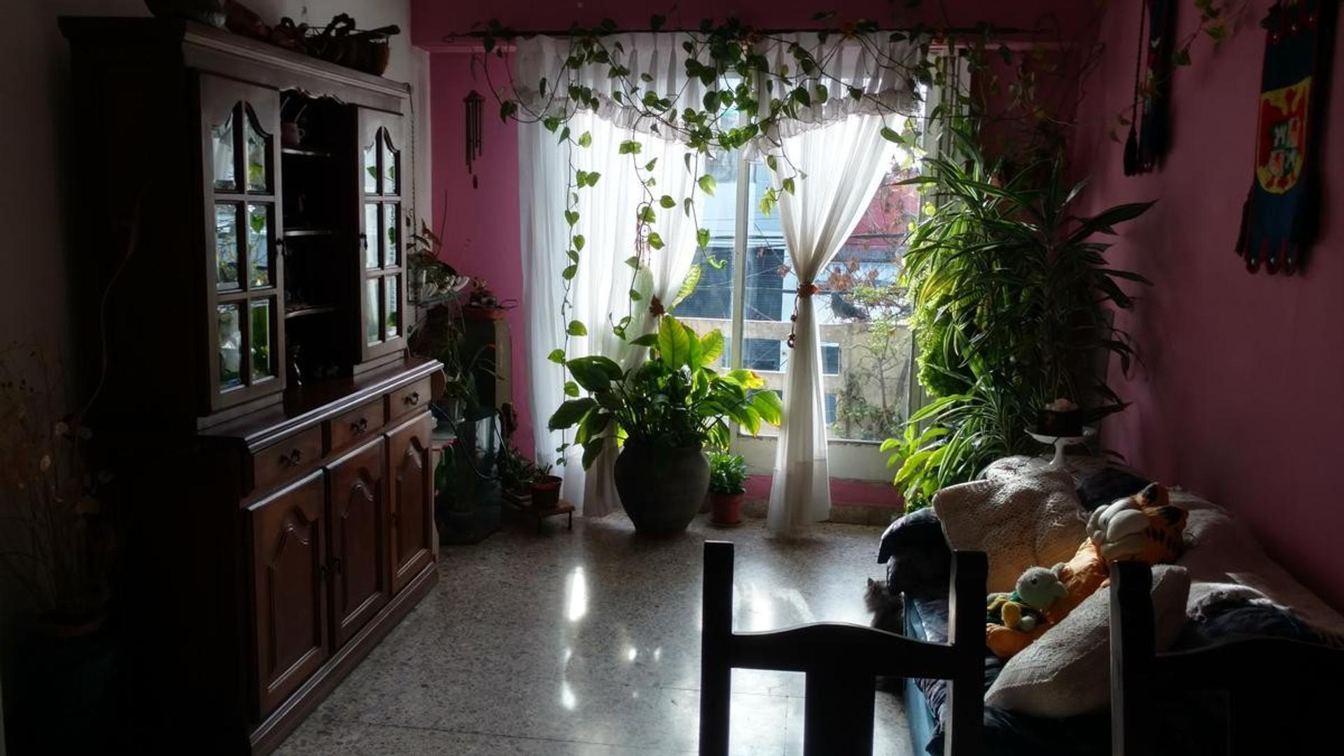 Departamento Tipo Casa - Flores Norte