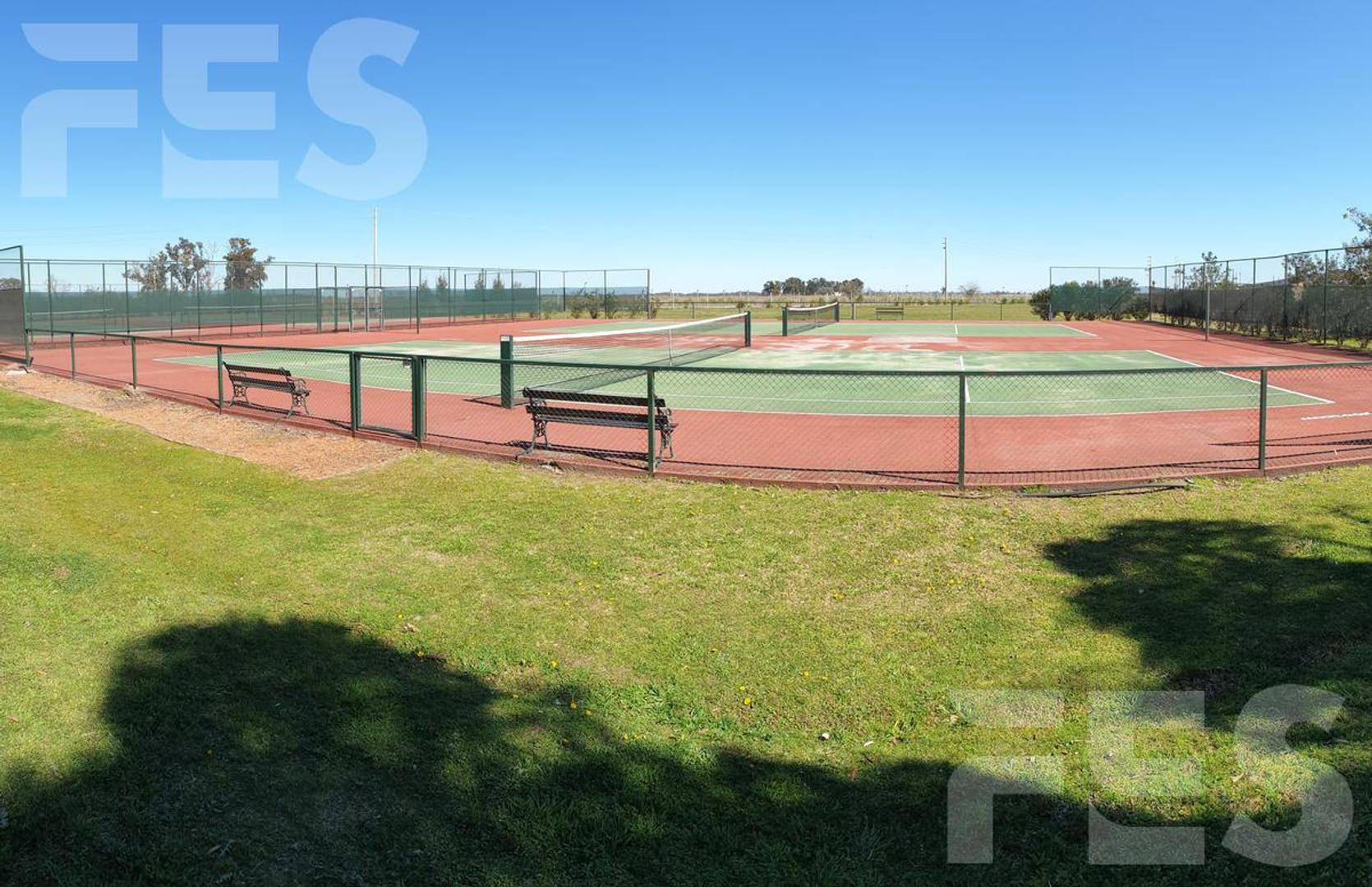 Club de Campo San Lucas