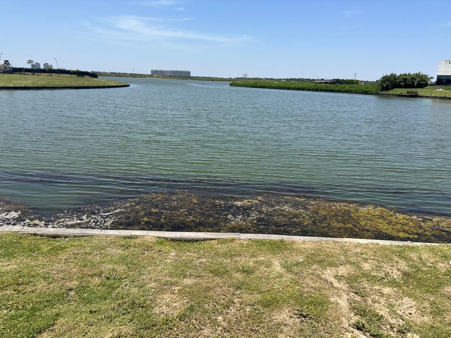 Terreno en Venta de 984,0 m2