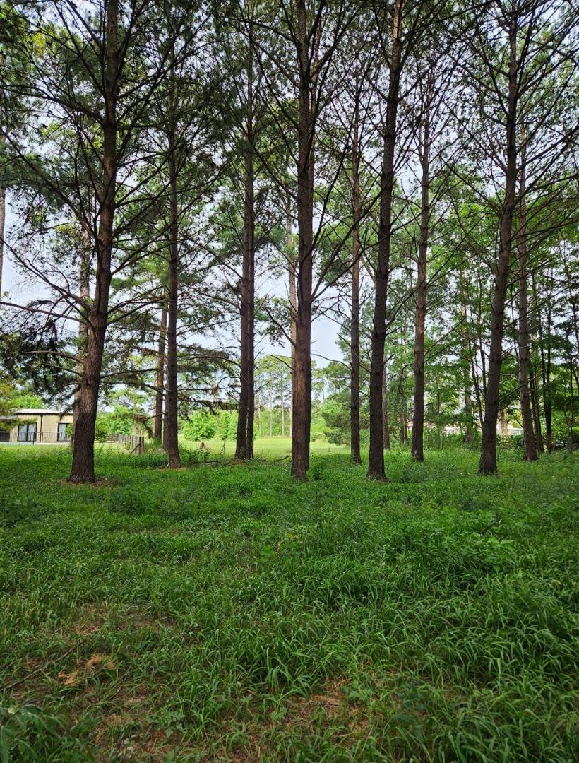 Venta Lote/Terreno en Los Pinares Exaltacion de la Cruz