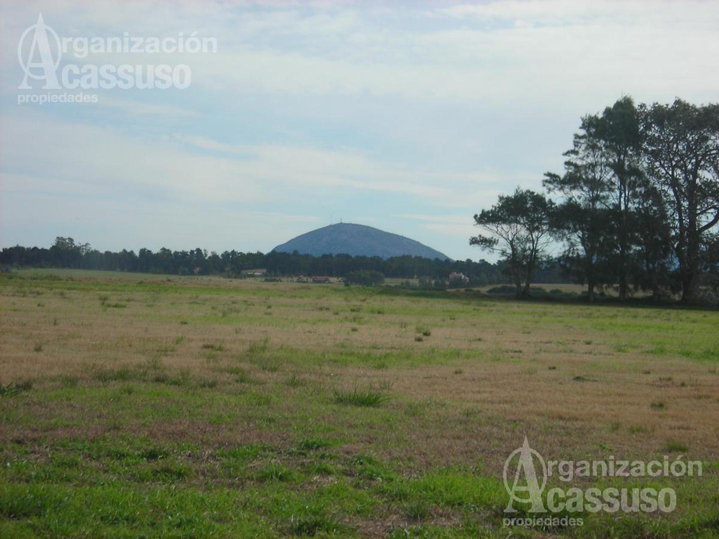 Maldonado - Lote Venta USD 175.000