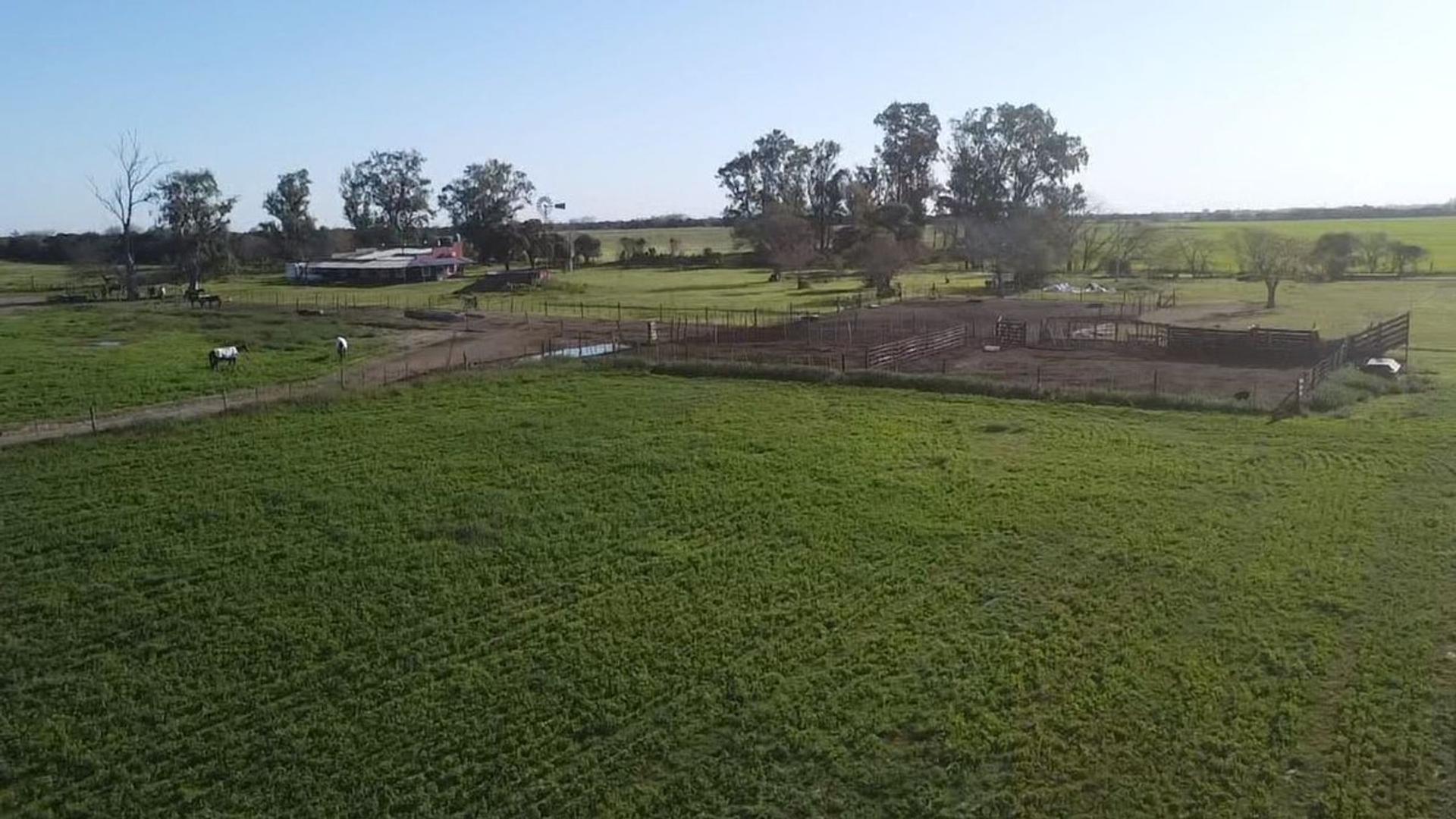 VENTA/CAMPO GANADERO/SOBRE RUTA/AURELIA