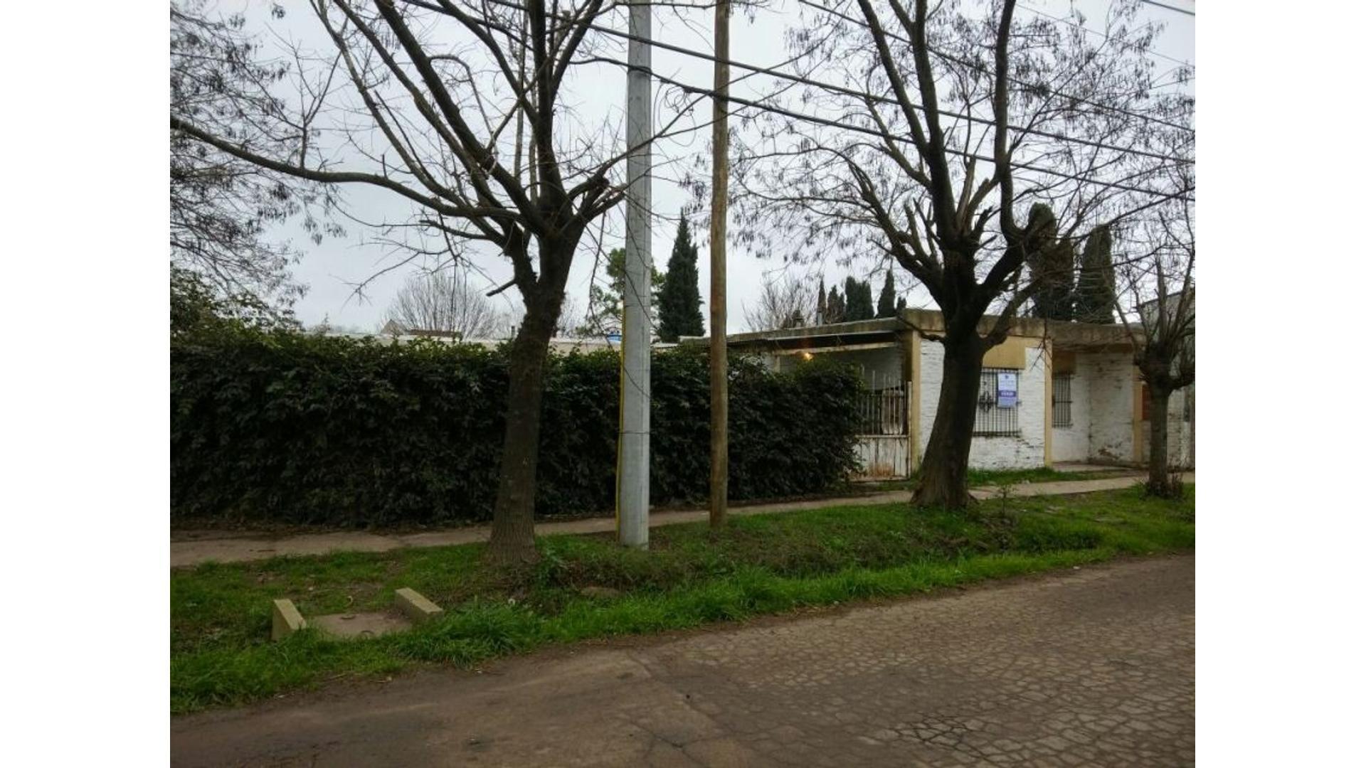 Cassaux Y Barlaro