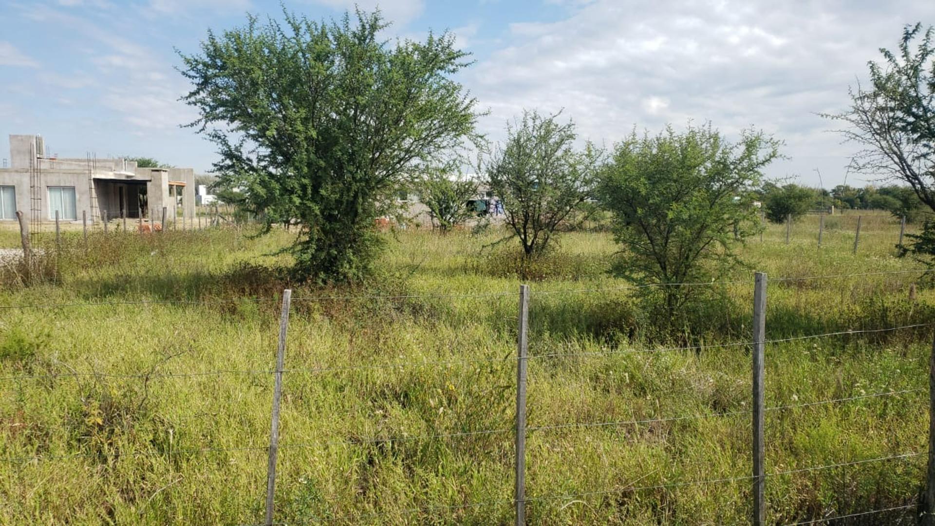 Lote de 500 m2 en Estación Conlara, alambrado.
