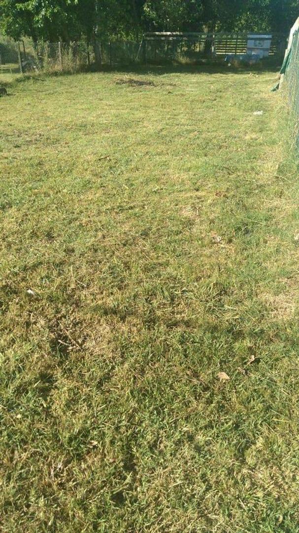 Ruta Provincial 52 S/N